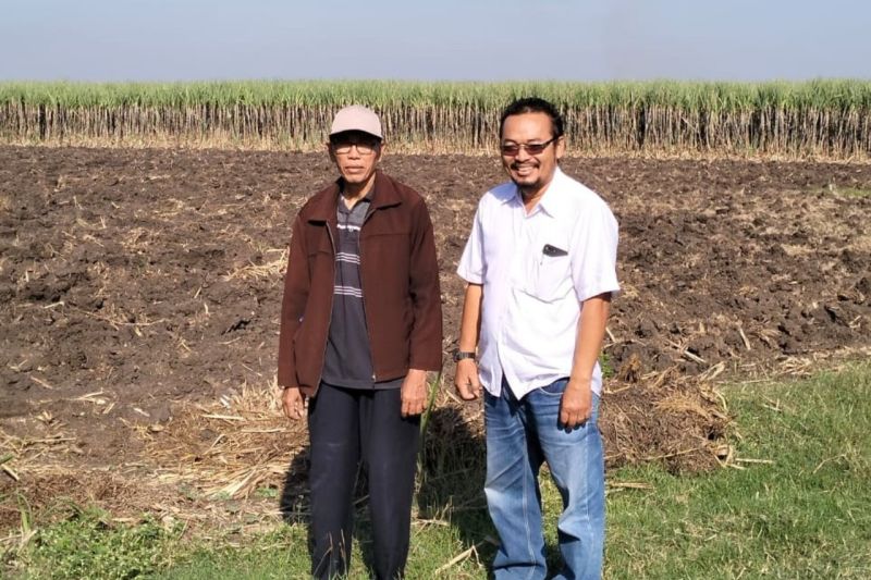 petani-tebu-desak-pemerintah-perbaiki-total-tata-niaga-gula-nasional