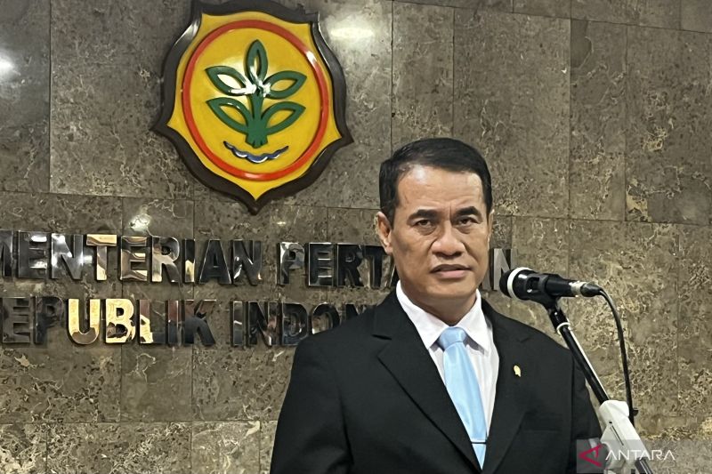 mentan-sebut-bakal-lakukan-operasi-pasar-beras-hingga-akhir-2025