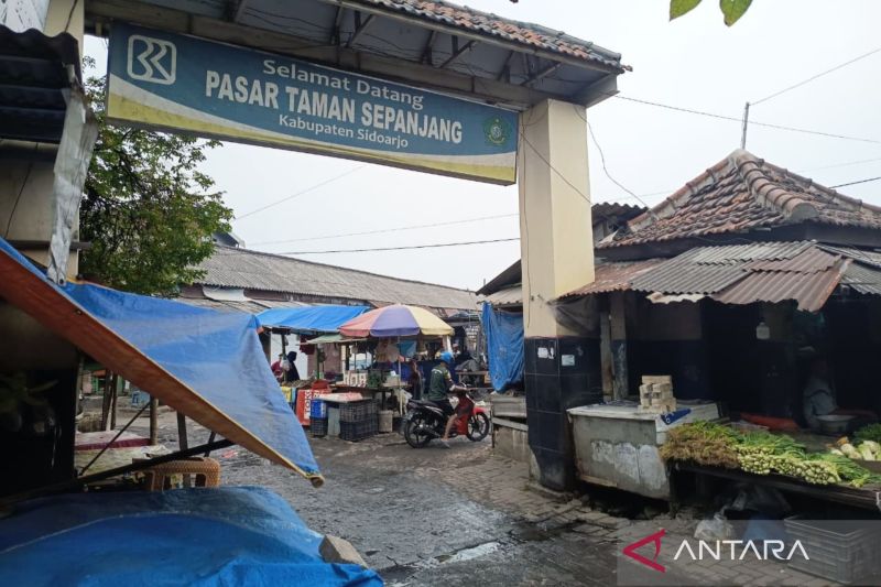 Polisi pastikan penemuan puluhan kepala kucing di Sidoarjo tak benar