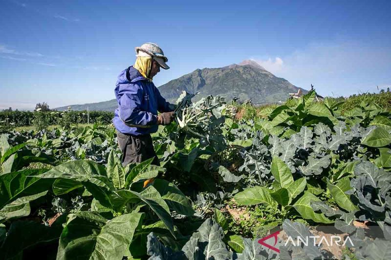 memastikan-statistik-selaras-dengan-realitas-ekonomi