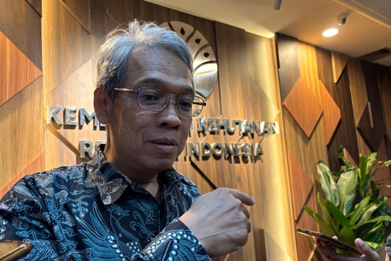 Pemerintah verifikasi keamanan Gunung Rinjani sebelum buka pendakian