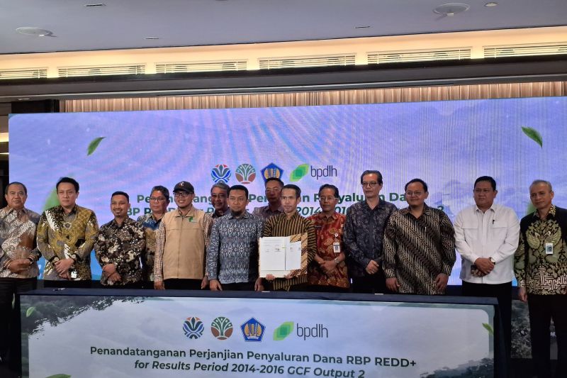 bpdlh-salurkan-dana-perlindungan-hutan-rp507-miliar-bagi-24-provinsi