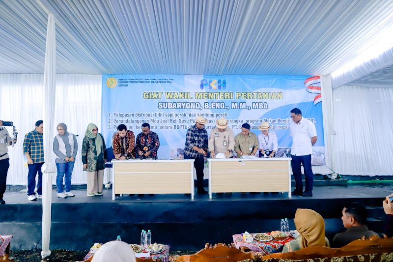 pt-snj-dukung-pelaksanaan-mbg-lewat-investasi-sapi-perah