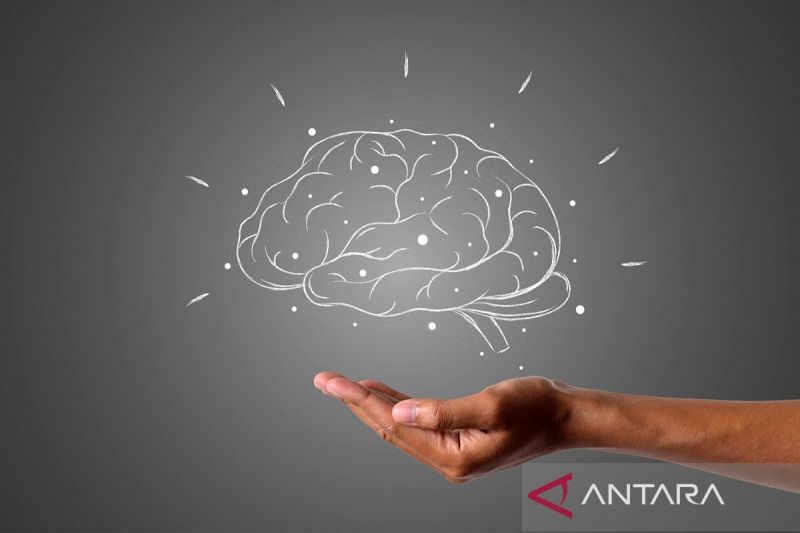 apa-itu-istilah-neurodivergent-beserta-jenisnya