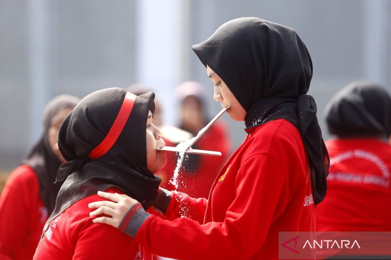 3-contoh-format-proposal-kegiatan-17-agustus-sambut-hut-ke-80-ri