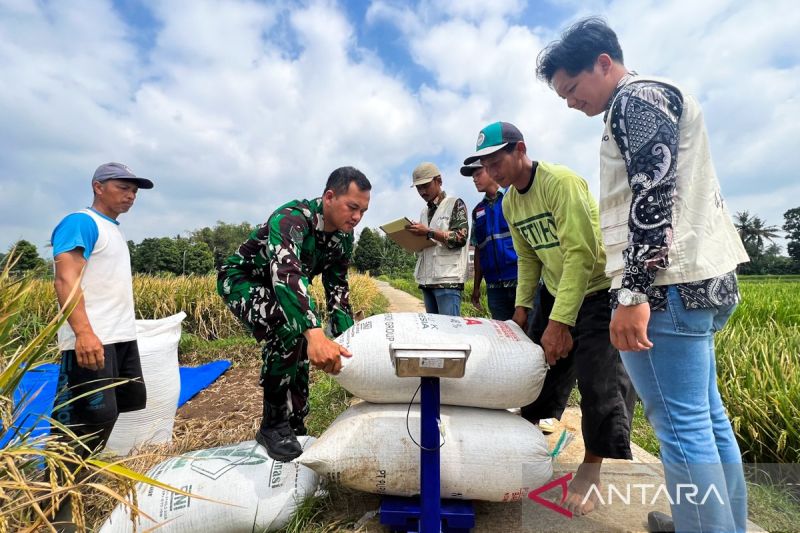 menjemput-panen-meruntuhkan-kuasa-tengkulak-dan-kesejahteraan-petani