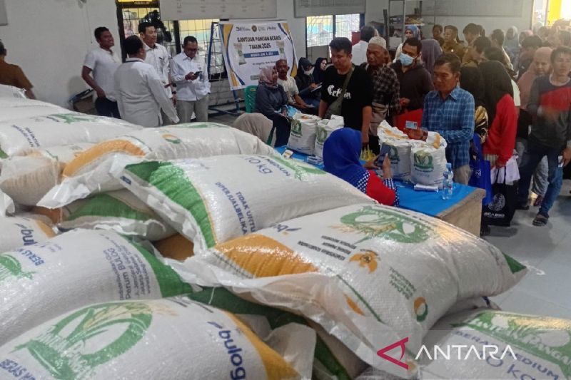 bulog-sumut-sebut-penyaluran-beras-bantuan-pangan-capai-75-persen