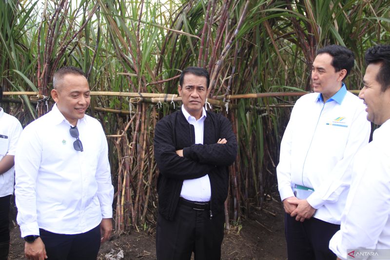 danantara-siap-menggelontorkan-rp15-triliun-beli-gula-petani