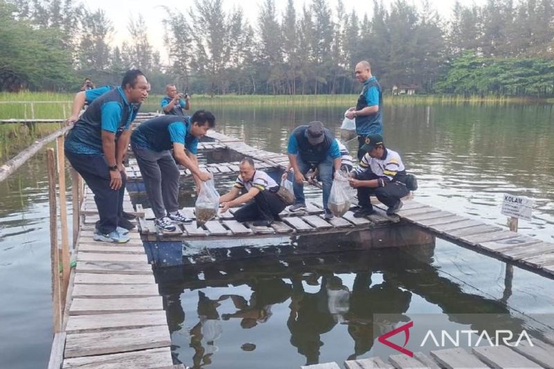 badan-karantina-indonesia-melepas-15000-nila-di-kolong-babel