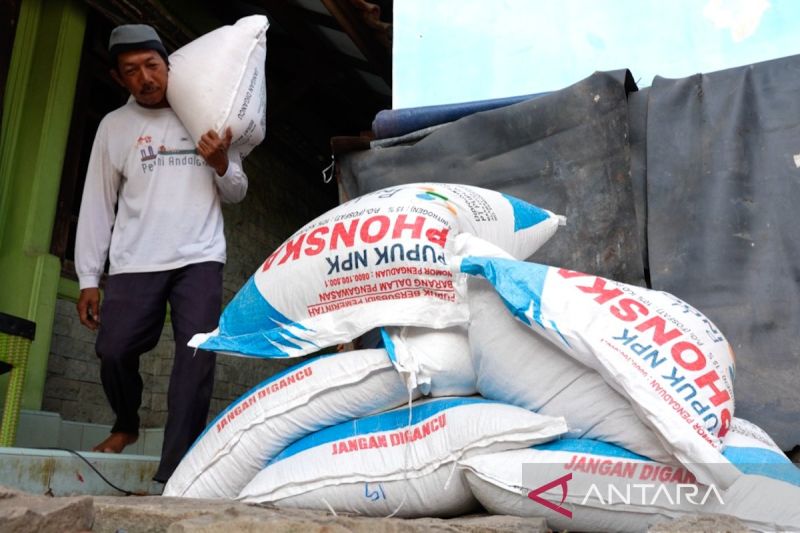 akses-cepat-pupuk-subsidi-untuk-merawat-harapan-petani-padi
