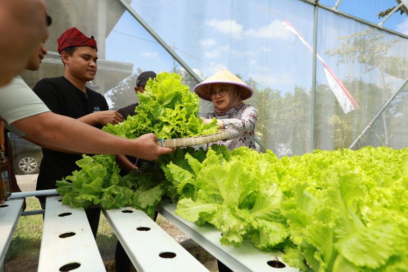 pemkab-banyuwangi-dorong-lahirnya-petani-muda-kreatif-dan-mandiri