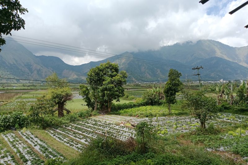 Kunjungan wisata alam Gunung Rinjani kembali dibuka 11 Agustus 2025