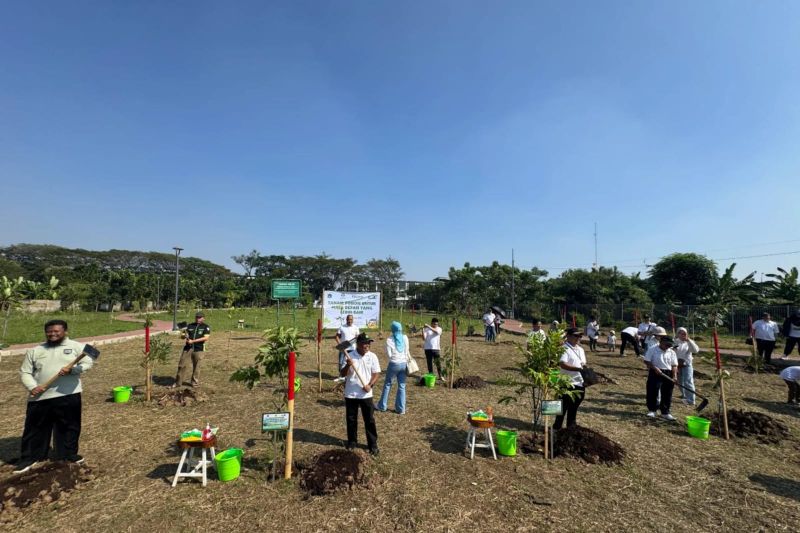 komunitas-kendaraan-listrik-tanam-pohon-untuk-kurangi-polusi-udara