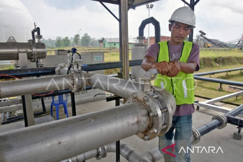 kaltim-garap-pengembangan-transisi-energi-dari-limbah-sawit