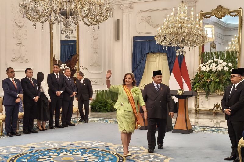 presiden-boluarte-blueberry-peru-segera-masuk-pasar-indonesia