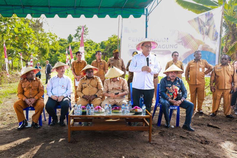 menteri-koperasi-kdmp-di-papua-tengah-terbentuk-100-persen