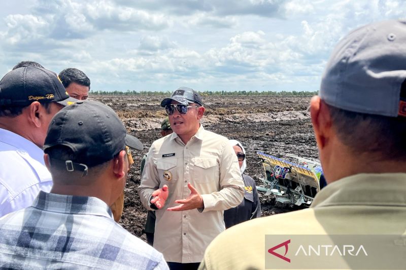 bupati-tanah-laut-kawal-percepatan-penggarapan-csr-demi-swasembada
