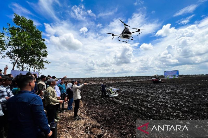 kementan-pemkab-tanah-laut-tanam-padi-perdana-pakai-teknologi-drone