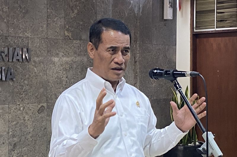 soal-beras-oplosan-pemerintah-tegaskan-lindungi-penggilingan-kecil