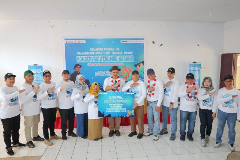 Pulihkan terumbu karang jadi langkah nyata PNM untuk keberlanjutan lingkungan