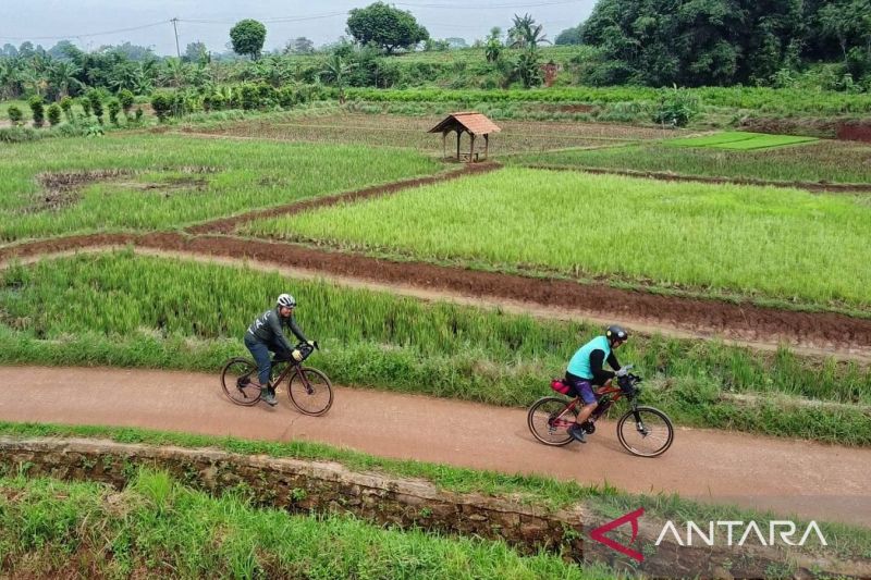 strategi-kendalikan-tata-ruang-untuk-lindungi-area-sawah