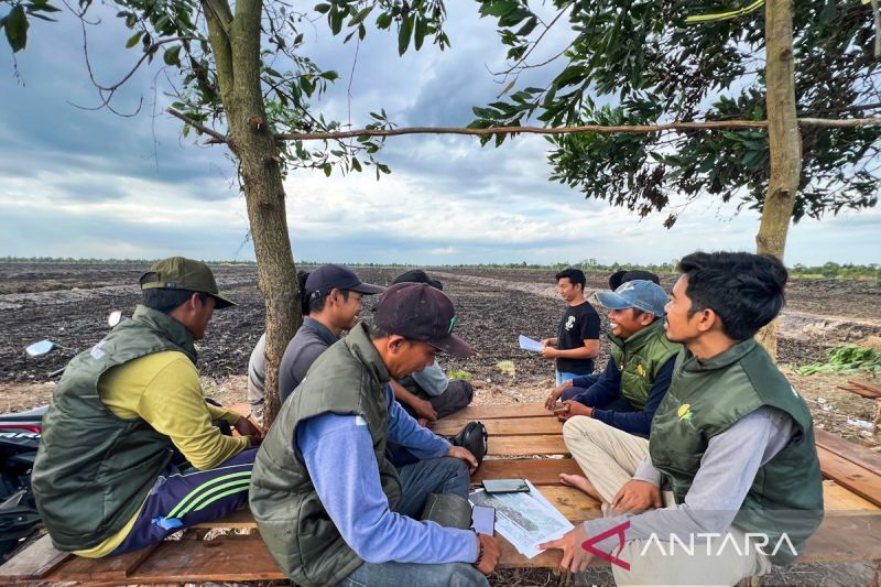 membidik-dua-miliar-rupiah-di-lahan-sawah-berteknologi