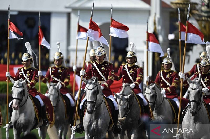 sri-mulyani-bebaskan-ppn-kuda-kavaleri-untuk-kemenhan-dan-tni