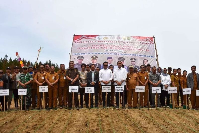 hut-ke-80-ri-ptpn-iv-palmco-beri-bibit-padi-untuk-110-hektar-lahan