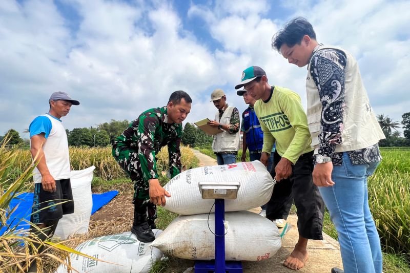mentan-tegaskan-pemerintah-jalankan-kebijakan-pro-petani