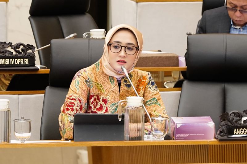 anggota-dpr-minta-pemerintah-buat-kebijakan-khusus-atasi-petani-gurem