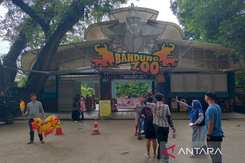 ekonom-pengelola-bandung-zoo-harus-jelas-dasarnya
