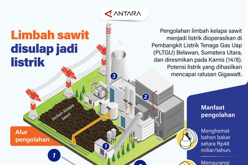 limbah-sawit-disulap-jadi-listrik