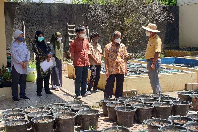 pemprov-sumsel-ajak-masyarakat-manfaatkan-lahan-tidak-produktif