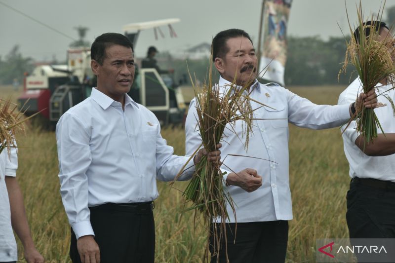 Jaksa Agung-Mentan panen raya program Jaksa Mandiri Pangan