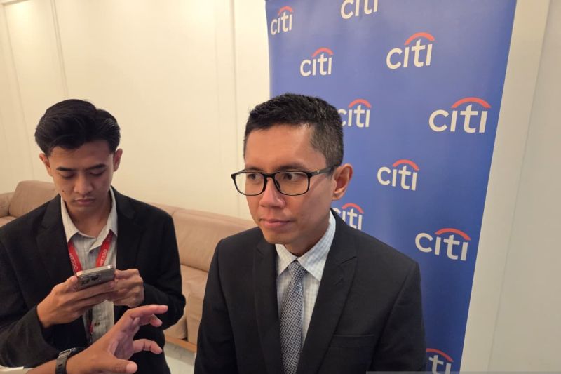 citi-indonesia-revisi-proyeksi-pertumbuhan-ekonomi-ri-di-49-persen