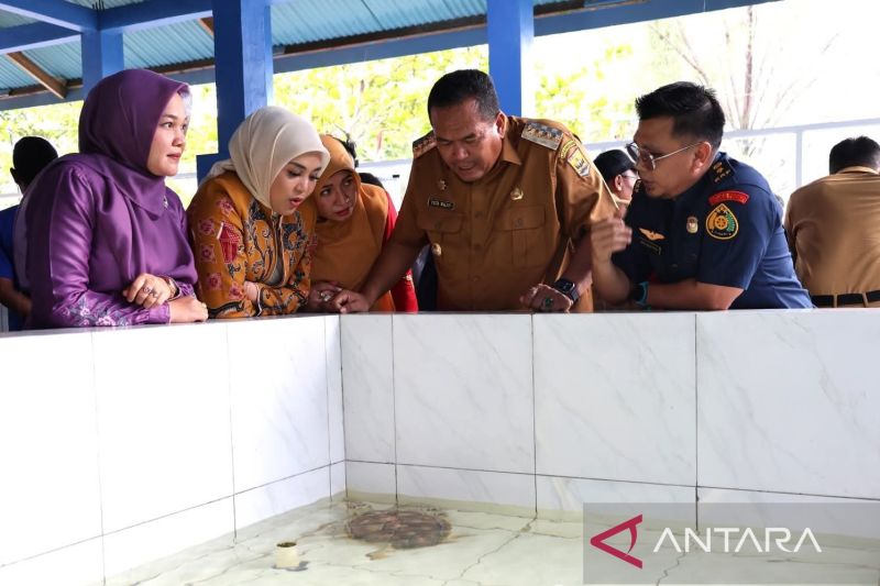 konservasi-penyu-pariaman-jadi-daya-tarik-wisata-edukatif