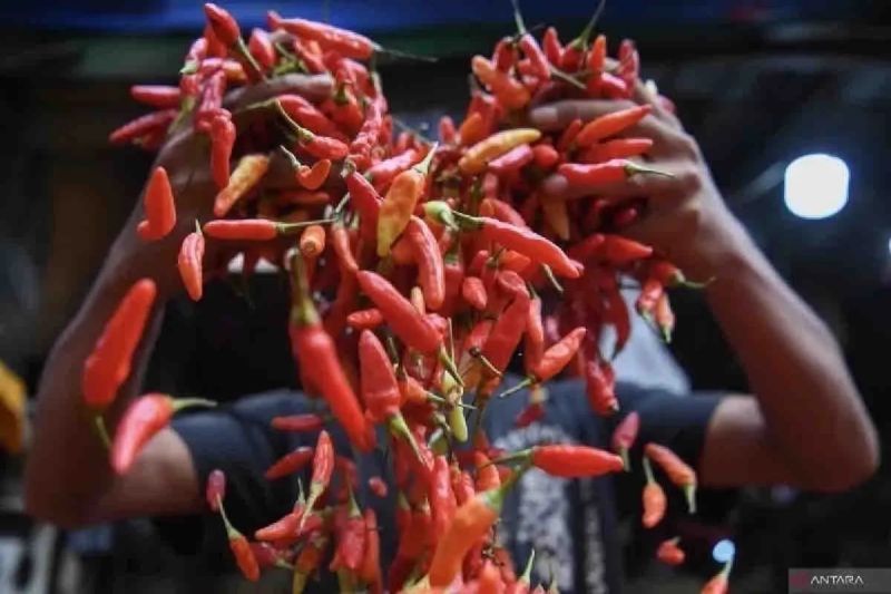 bapanas-harga-cabai-rawit-rp39545kg-bawang-merah-rp46700kg