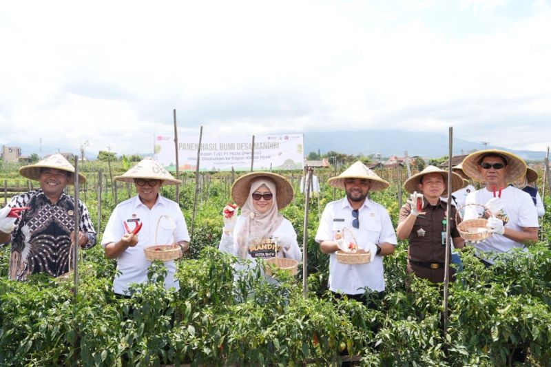 pelni-berdayakan-desa-mandiri-pasok-makanan-untuk-penumpang-kapal