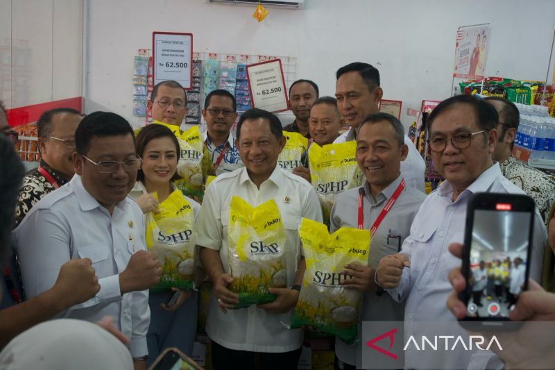 mengukur-dampak-beras-sphp-di-tengah-lonjakan-harga-harga