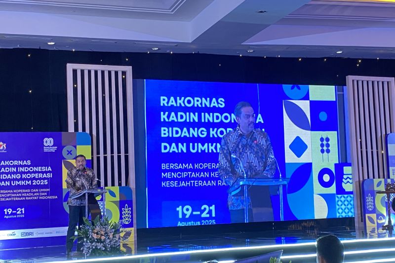 menteri-maman-wajibkan-umkm-terdaftar-dalam-sistem-sapa-umkm