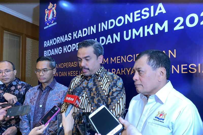 alokasi-rp335-triliun-untuk-mbg-dinilai-paling-menguntungkan-umkm
