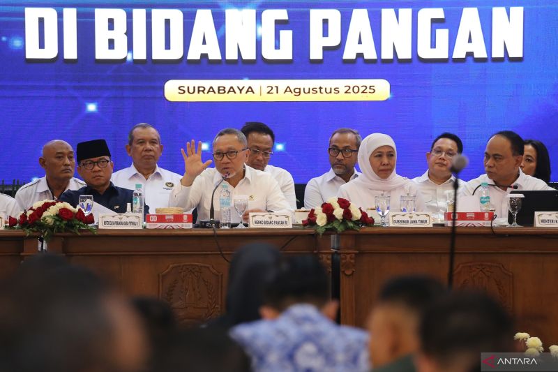 menko-pangan-pastikan-serap-1000-ton-gula-petani-lumajang