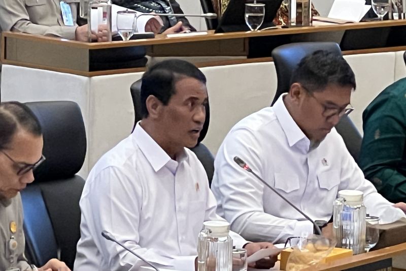 mentan-bidik-seluruh-stok-beras-di-akhir-tahun-produksi-dalam-negeri