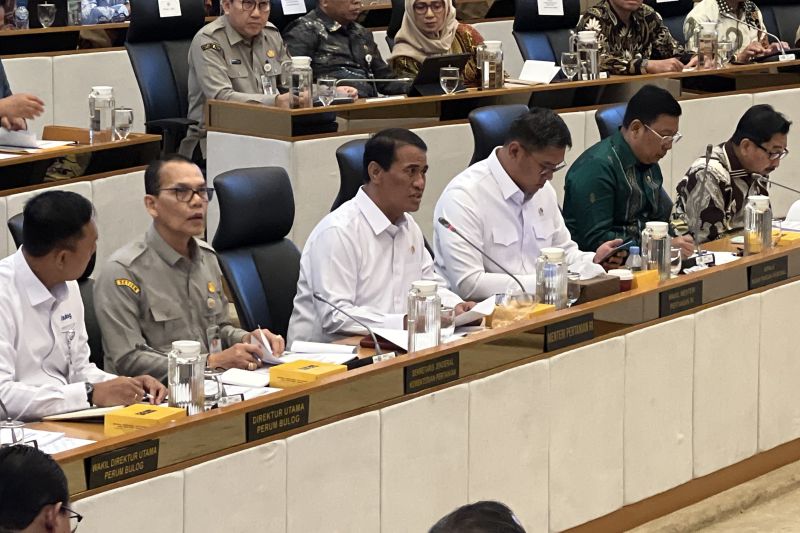 mentan-nilai-monopoli-penggilingan-besar-bisa-picu-1-juta-pengangguran