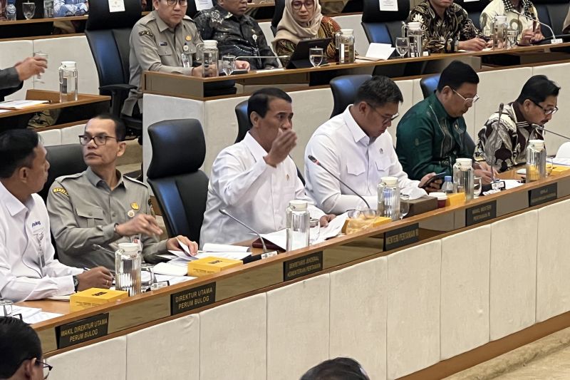mentan-tegaskan-beras-satu-harga-untuk-lindungi-subsidi