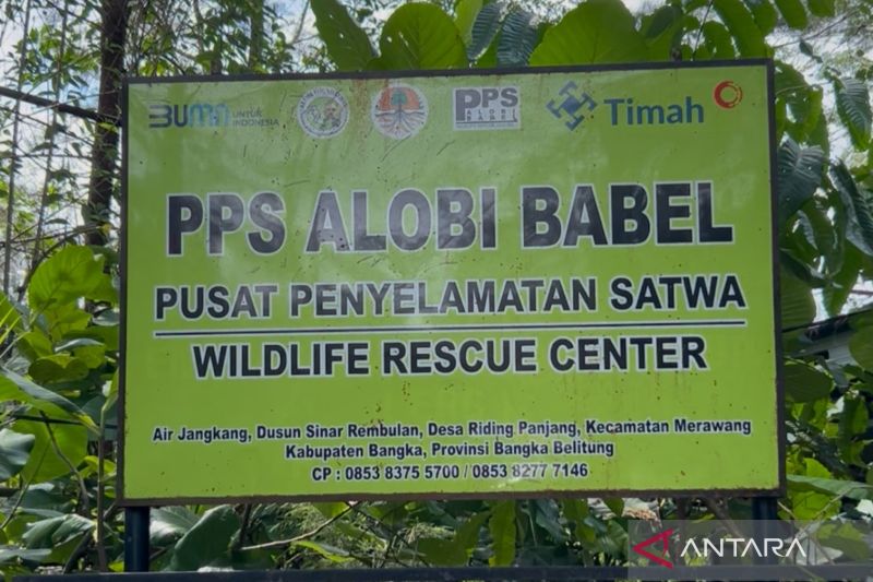 pps-alobi-wujud-tanggung-jawab-lingkungan-pt-timah-di-bangka