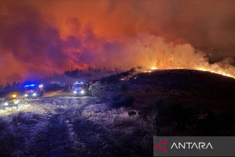 Spanyol-Portugal dilanda amukan api, 82 ribu hektare hutan ludes