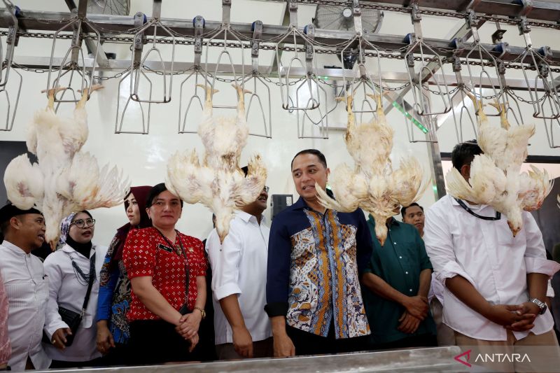 pemkot-surabaya-miliki-rph-unggas-berkapasitas-lima-ribu-ekor-per-hari
