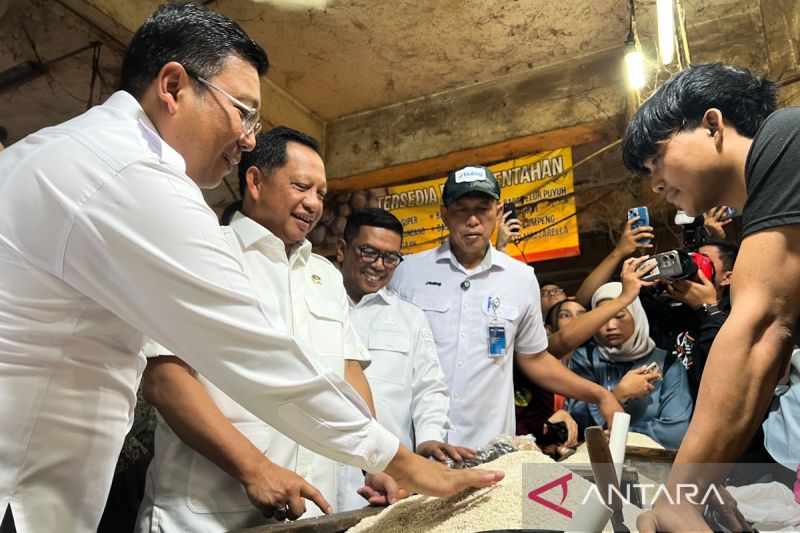 bapanas-tegaskan-ketersediaan-beras-di-2025-aman-dan-cukup