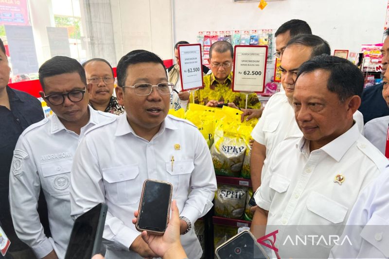 bapanas-realisasi-distribusi-beras-sphp-capai-2395-ribu-ton